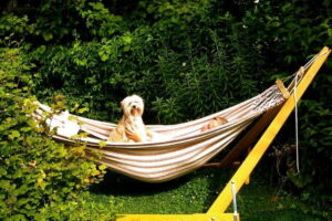 Klappbare Hängemattengestelle