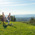 Der Hängesesselvergleich 2024