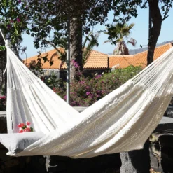 ein wahres Schmuckstück für jeden Garten oder Balkon