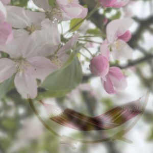 Blütenstaub adé: Hängematte im Frühling sauber halten